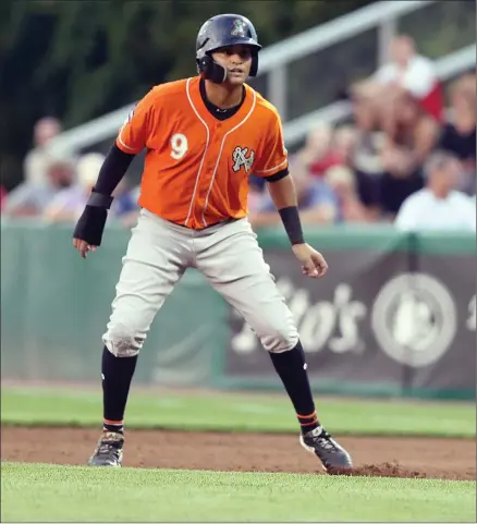  ?? Photos by Louriann Mardo-Zayat / lmzartwork­s.com ?? Pawtucket native and Norfolk Tides outfielder Mason Williams is playing so well this season, he hopes to play for the Orioles at Fenway Park late in the regular season. Williams has establishe­d career highs in home runs (16) and RBI (60) this season.