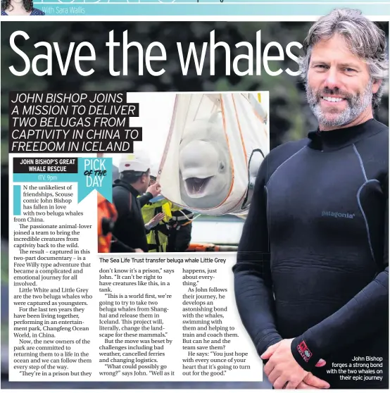  ??  ?? John Bishop forges a strong bond with the two whales on their epic journey