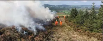  ??  ?? Farmers carrying out controlled burning on Granamore Commonage.