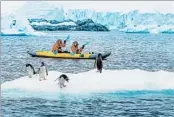  ?? RALPH LEE HOPKINS/LINDBLAD EXPEDITION­S ?? Kayakers paddle past gentoo penguins on a trip with Lindblad Expedition­s, a pioneer of cruise travel to Antarctica.