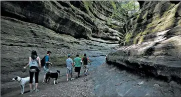  ?? ANTONIO PEREZ/CHICAGO TRIBUNE 2014 ?? State parks like Starved Rock in Utica, Illinois, have grown in popularity as people look to get out during the pandemic.