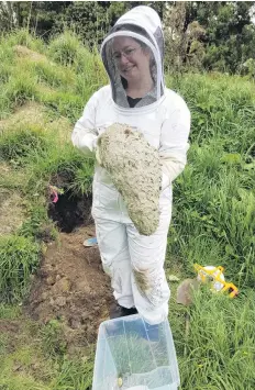  ?? PHOTO: SUPPLIED ?? Jennifer Jandt gets her hands on a whole next of entomology.