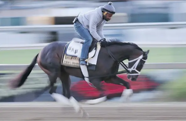  ?? ROB CARR/GETTY IMAGES ?? Exercise rider Nick Bush puts Kentucky Derby winner Always Dreaming through a training session at Pimlico Race Course on Tuesday in Baltimore.