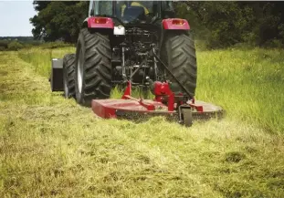  ??  ?? BeLOW: Mowing is a form of mechanical weed control that helps grass choke out the weeds.