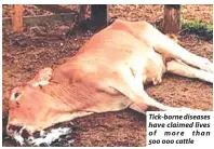  ?? ?? Tick-borne diseases have claimed lives of more than 500 000 cattle