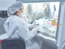  ??  ?? El laboratori­o biomolecul­ar facilitó la realizació­n de test.