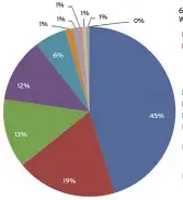  ?? 12% 13% 1% 1% 6% 19% 1% 1% 0% 45% ??