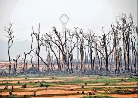  ?? CARL DE SOUZA/AFP ?? View of burnt areas of the Amazon rainforest, near Abuna, Rondonia state, Brazil, on Saturday.