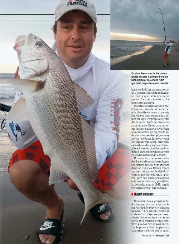  ??  ?? En plena faena: uno de los buenos piques durante la primera hora, un buen ejemplar de corvina rubia que tomó langostino como carnada.