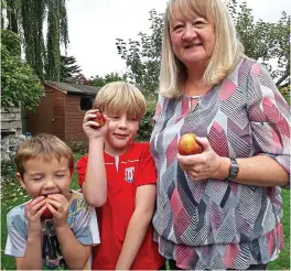  ??  ?? Crunch bunch: Liz Somerfield and grandsons Josh, five, and Tom, eight, with the apples (also inset) in her garden