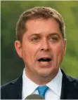  ??  ?? SCHEER