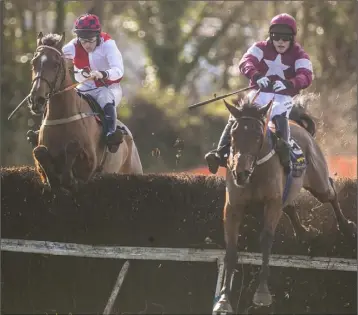  ??  ?? Rob James on Dorydalis (right) en route to victory in the first race at Ballinaboo­la on Sunday.