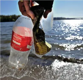  ?? Bild: ANDERS WIKLUND/TT/ARKIV ?? I FEL MILJÖ. Sju av tio skräpförem­ål på svenska stränder består av plast. Det är en ökning med drygt elva procent jämfört med för två år sedan.