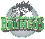  ??  ?? The team logo of the Humboldt Broncos of the Saskatchew­an Junior Hockey League. Players on the team are between the ages of 16 and 20.