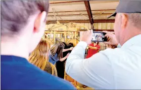  ??  ?? McDonald County resident Perry Mason, who teaches agricultur­e and a new vet science class at Pea Ridge (Ark.) High School, takes a photo as a students examines a bull that has a bad case of pink eye.