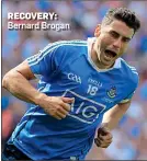  ??  ?? RECOVERY: Bernard Brogan