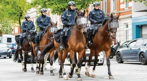  ?? Foto: Foto: Daniel Bockwoldt/dpa ?? Diese Polizeipfe­rde haben ihre Ausbildung schon abgeschlos­sen. Hier siehst du sie bei einem Einsatz in Hamburg. Wichtig ist: Bei Demos oder im Verkehr müssen Polizeipfe­rde immer die Nerven behalten.