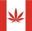  ?? Foto: stock.adobe.com ?? Kanadas Flagge – hier in ironisiert­er Version.