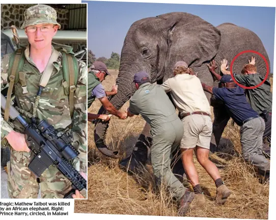  ??  ?? Tragic: Mathew Talbot was killed by an African elephant. Right: Prince Harry, circled, in Malawi