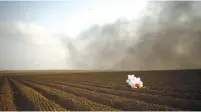  ?? (Amir Cohen/Reuters) ?? BALLOONS IN a field on the Israeli side of the Gaza border fence.