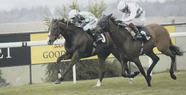  ?? Picture: Clive Bennett ?? Nebulosa, nearest the camera, on the way to winning on Saturday