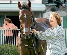  ?? TRISH DUNELL ?? Cambridge trainer Shelley Hale has achieved outstandin­g results with Seventh Up and the rest of her small team.