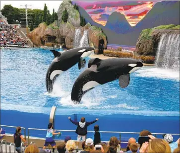  ?? Nelvin C. Cepeda San Diego Union-Tribune ?? SEAWORLD ENTERTAINM­ENT on Thursday disclosed a $9.4-million overspend in “creative and media” marketing costs. Its third-quarter results saw drops of 2.6% in visitation and 2% in overall revenue.