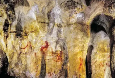  ?? BILD: SN/MPI ?? Das kleine leiterarti­ge Gemälde in der Mitte der Felswand in der Höhle La Pasiega in Spanien ist 64.000 Jahre alt.