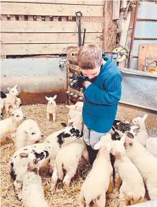  ?? ?? TALENTED: Eoghan taking pictures of some lambs.