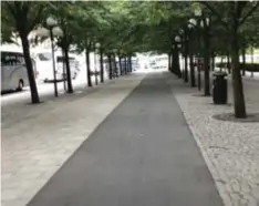  ?? FOTO: PER BRANDT ?? DOLD. Cykelbanan i allén i Kungsträdg­ården har inte uppmärksam­mats av så många än.