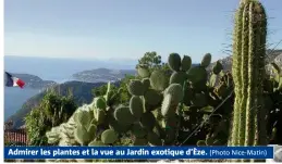  ?? (Photo Nice-Matin) ?? Admirer les plantes et la vue au Jardin exotique d’Èze.