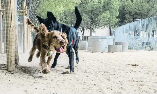  ?? LLIBERT TEIXIDÓ ?? Usuarios del pipi can instalado en el parque de Piscines i Esports del distrito de Sarrià-Sant Gervasi de Barcelona