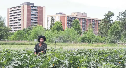  ?? STEVE RUSSELL TORONTO STAR ?? Leticia Deawuo, executive director of Black Creek Community Farm, says officials urge people to work at home, but for many people that’s just not possible.