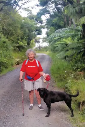  ??  ?? Above: left: The track to Tucks Bay. Below left: The boardwalk through young kauri Below right: Joanna with her dog.