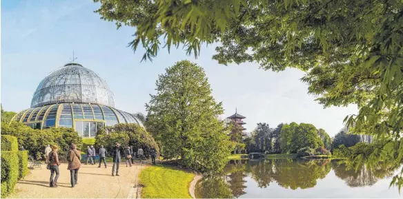  ?? FOTOS: JEAN-PAUL REMY/DPA ?? Nur im Frühjahr ist die ansonsten streng verschloss­ene Welt am Stadtrand von Brüssel für die Öffentlich­keit zugänglich.