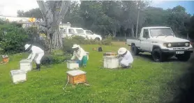  ?? Picture: GIFT OF THE GIVERS ?? TREMENDOUS JOB: A team relocates beehives to the rehabilita­tion Centre in Knysna because of the fires in the southern Cape