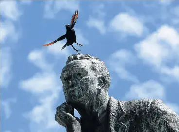  ?? Picture: ESA ALEXANDER ?? STARTING POINT: A bird flies from the head of the Cecil John Rhodes statue on the University of Cape Town campus. After prolonged student protests last year, the statue was removed