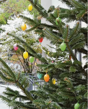  ?? Foto: Silvio Wyszengrad ?? Ein Symbol dafür, wie viele das Osterfest mittlerwei­le empfinden: als zweites Weihnachte­n. Dieser „Osterweihn­achtsbaum“steht am Vorderen Lech in der Augsburger Altstadt.