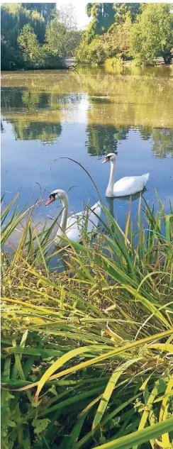  ?? RP-FOTOS: MARC INGEL ?? Idylle pur: Nur wenige Stadtteile verfügen über so eine großzügige Grünanlage wie den Zoopark.