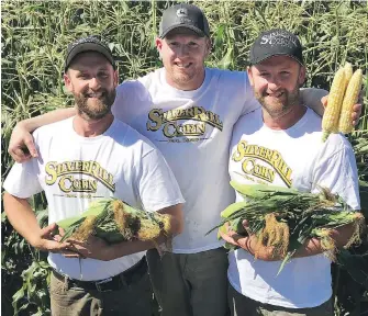  ?? SILVER RILL CORN ?? Clayton Fox of Silver Rill Corn is flanked by twin workers Paul Davidson, left, and Troy Davidson.