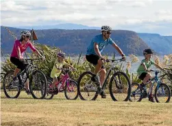  ?? DESTINATIO­N GREAT LAKE TAUPO ?? The Great Lake Trail in Taupo¯ is popular with visitors and locals alike (file photo).