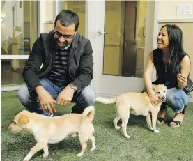  ??  ?? Orlando Felix plays with Paz, an “Alaskan Chauzer” (American Eskimo, Chihuahua and miniature Schnauzer), while Michelle Castro plays with Carmelo, a “Foxy Lhocker” (Fox Terrier, Cocker Spaniel and Lhasa Apso) at a shelter in Burlingame, California.