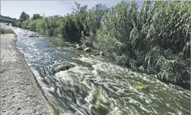  ??  ?? HEAL THE BAY suggests Angelenos avoid swimming in the river. “If there is any water contact, rinse off with soap and water afterward,” its report said.