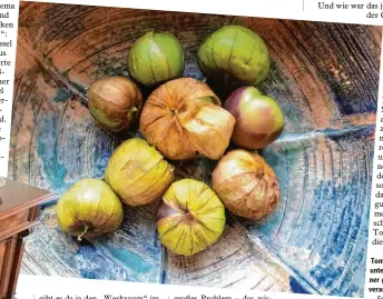  ?? Fotos: Sabine Pfister ?? Tomatillos können unter anderem zu ei ner grünen Salsa verarbeite­t werden.