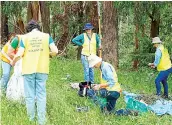  ?? ?? West Gippsland Seedbank members out collecting seeds.