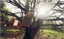  ?? PHOTO: DAVID UNWIN/STUFF ?? The conker tree in the house paddock is a favourite with the Thomas kids.