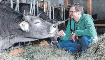  ?? FOTOS: RALF LIENERT ?? Tausende Allgäuer Kälber werden jedes Jahr nach Norddeutsc­hland oder ins Ausland verkauft. Mehrere Initiative­n wollen das ändern. Der Oberallgäu­er Sebastian Uhlemair beispielsw­eise kauft für seinen Mastbetrie­b beinahe ausschließ­lich männliche Kälber aus der Region.