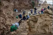  ?? (AP/Ariel Schalit) ?? Volunteers work Saturday to clean up tar in the Gador nature reserve near Hadera, Israel.