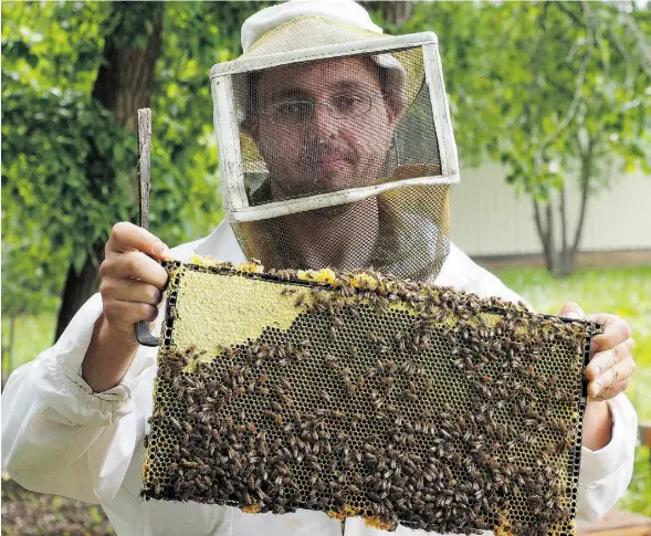  ?? LARRY WONG/EDMONTON JOURNAL ?? Beekeeper Lee Townsend has 3,000 colonies on his generation­al farm, TPLR Honey Farms in Stony Plain.
