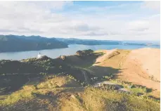  ?? Photo / Auckland Council ?? If it’s a proper expedition you’re after, put aside a day and head out to A¯ whitu Regional Park.